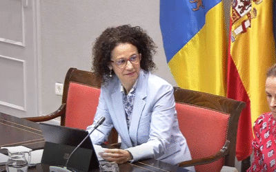 El CMC presenta en el Parlamento 7 claves para actualizar el REF