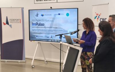 El CMC impulsa la eólica marina en Canarias