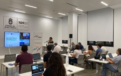 Ayudas de hasta 60.000 € para pymes canarias en eólica flotante